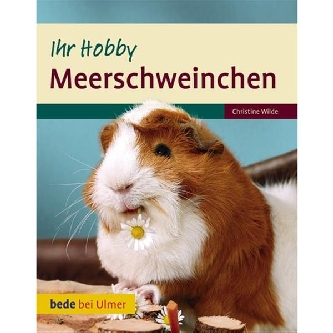 Mehrschweinchen Ihr Hobby Bede bei Ulmer-Verlag