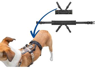 Panik Adapter Stay  M - für Geschirre,38-57cm/15mm